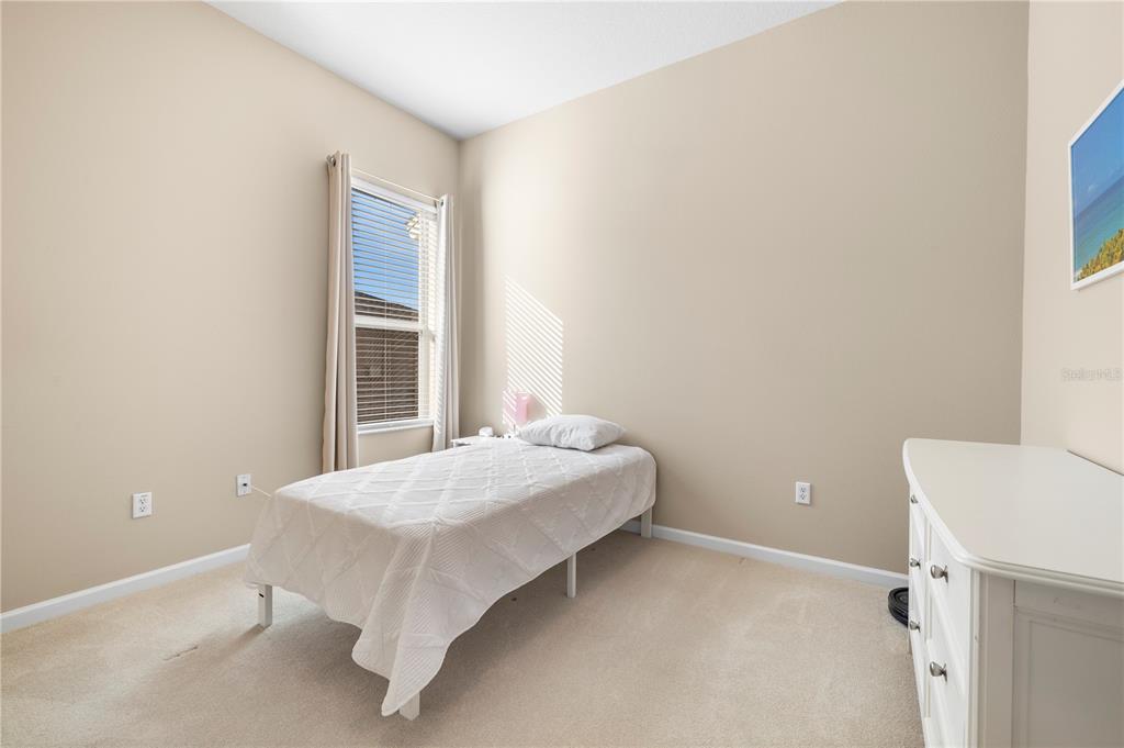 30404 Colthurst Street Wesley Chapel, FL 33545 - Photo 43 of 61