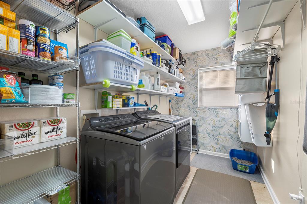 30404 Colthurst Street Wesley Chapel, FL 33545 - Photo 45 of 61