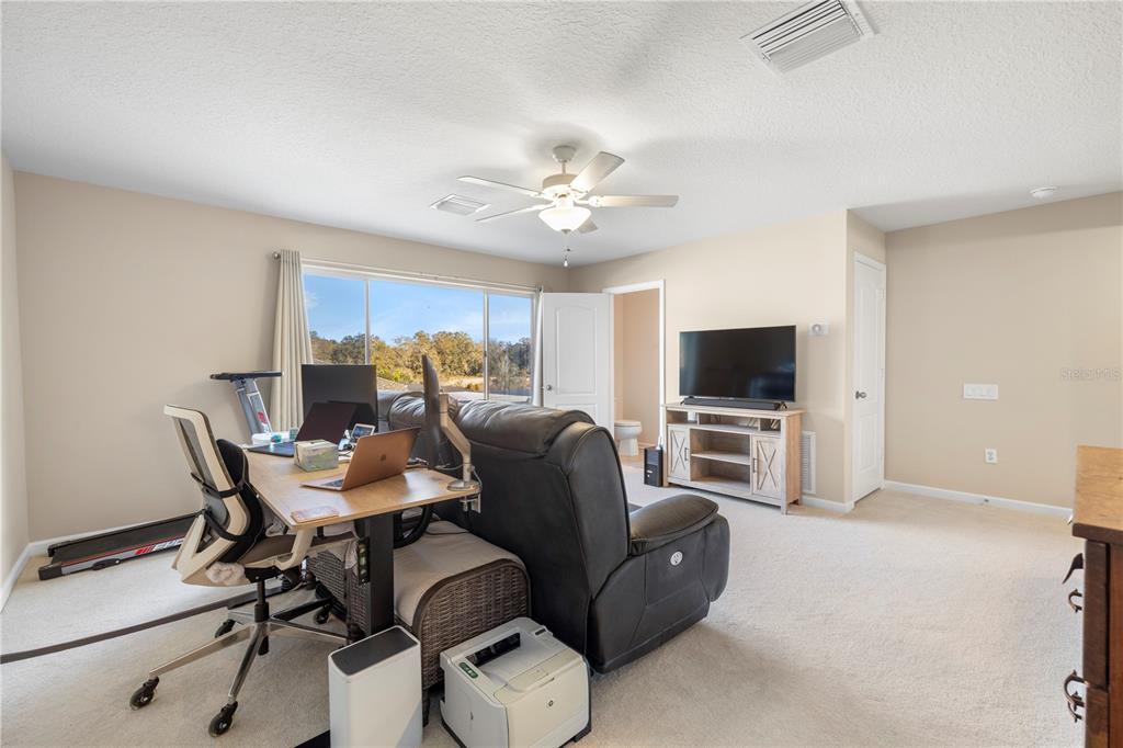 30404 Colthurst Street Wesley Chapel, FL 33545 - Photo 48 of 61