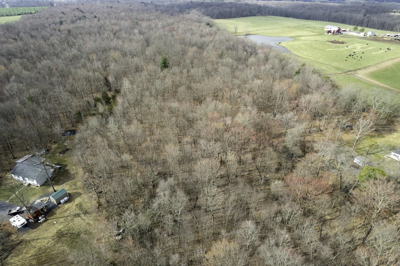 Tbd Stoneburner Road Edinburg, VA 22824 - Photo 11 of 23 Gallery Image 11