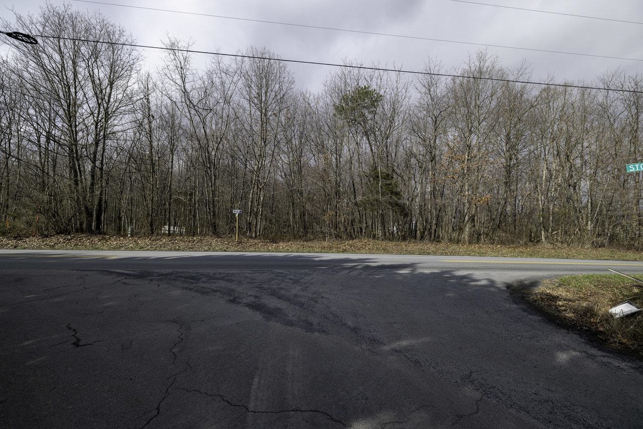 Tbd Stoneburner Road Edinburg, VA 22824 - Photo 23 of 23 Gallery Image 23
