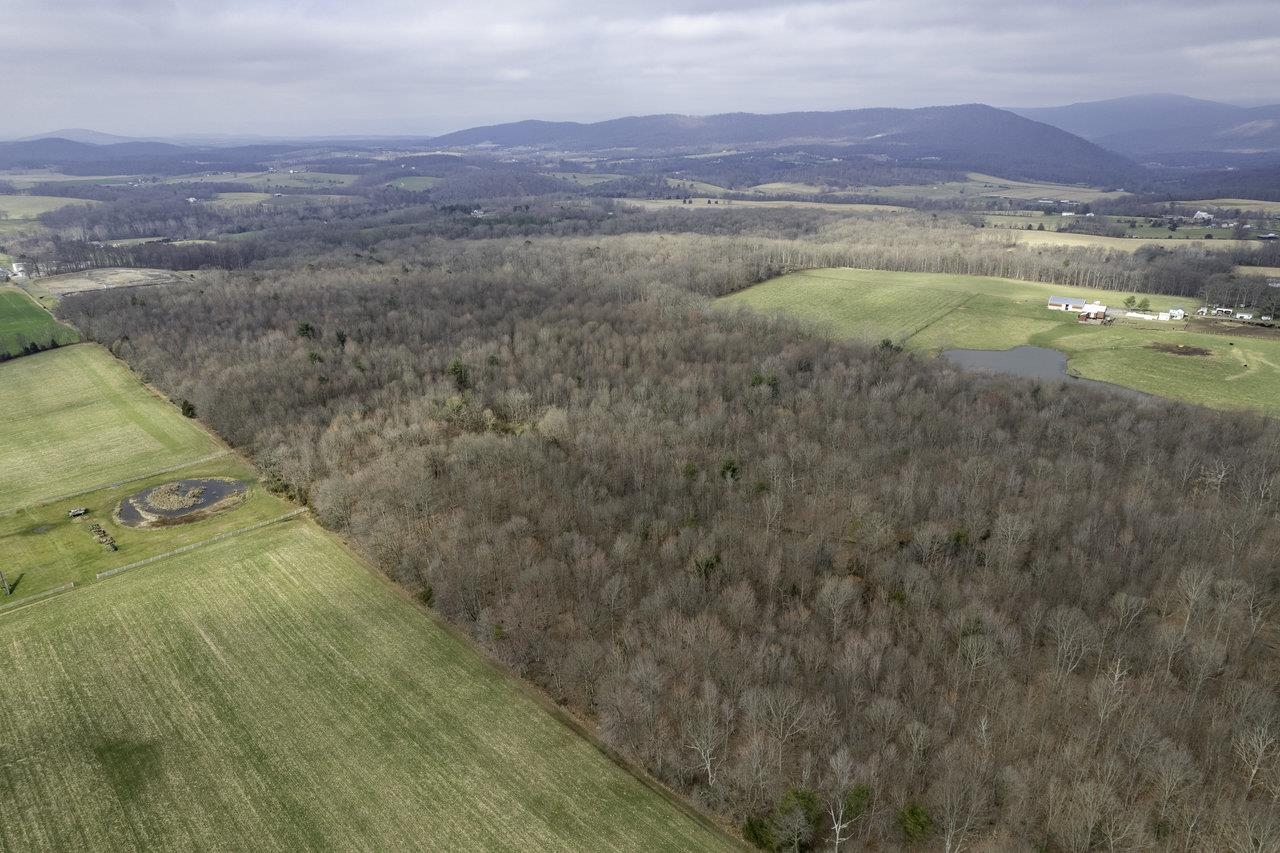 Tbd Stoneburner Road Edinburg, VA 22824 - Photo 4 of 23 Gallery Image 4