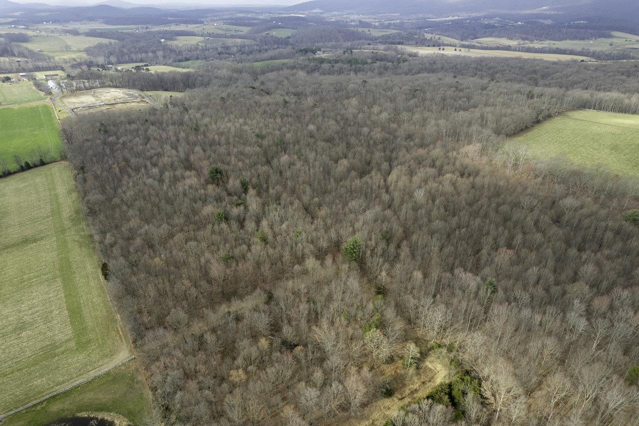 Tbd Stoneburner Road Edinburg, VA 22824 - Photo 5 of 23 Gallery Image 5