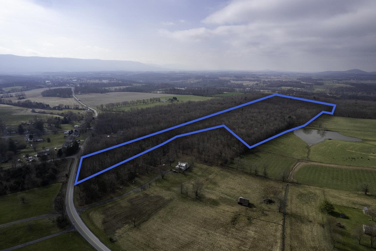 Tbd Stoneburner Road Edinburg, VA 22824 - Photo 8 of 23 Gallery Image 8