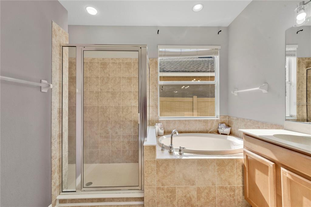 10229 Avelar Ridge Drive Riverview, FL 33578 - Photo 20 of 39 a bathroom with a granite countertop sink and a mirror