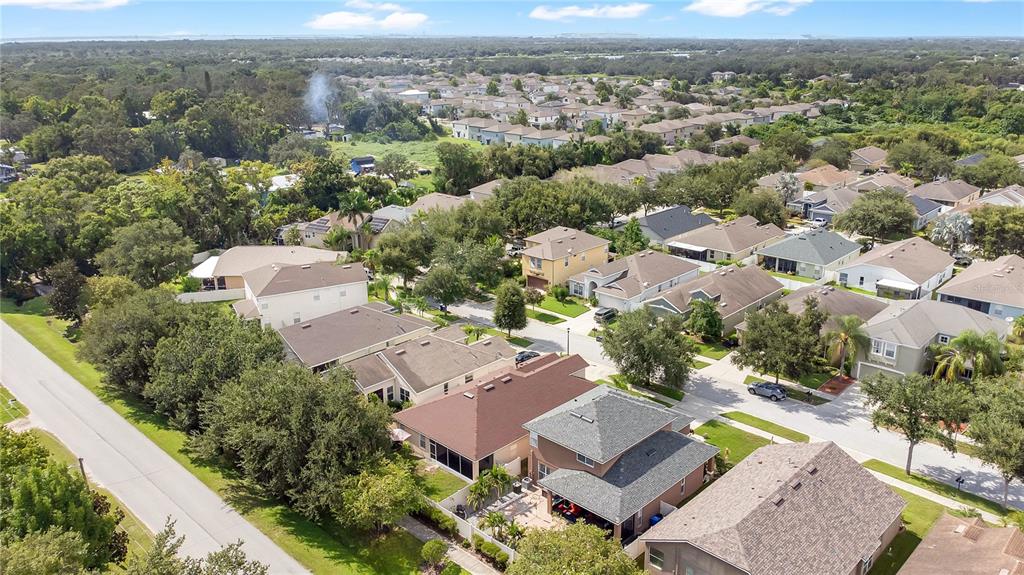 10229 Avelar Ridge Drive Riverview, FL 33578 - Photo 36 of 39 an aerial view of residential houses with outdoor space