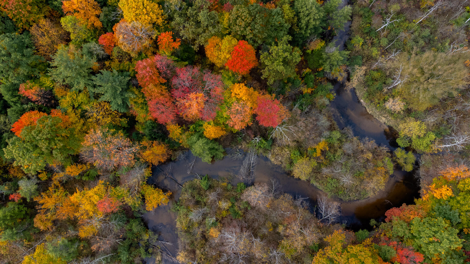 DJI_0447