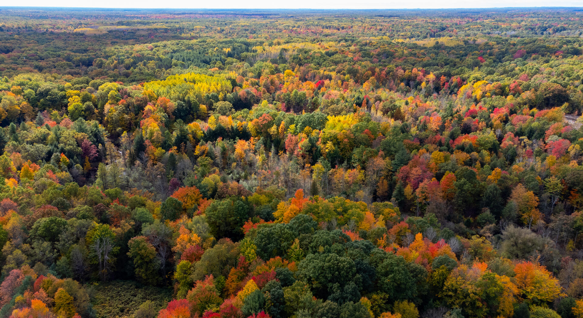 40 A Yale Rothbury, MI 49452 - Photo 29 of 30 DJI_0462