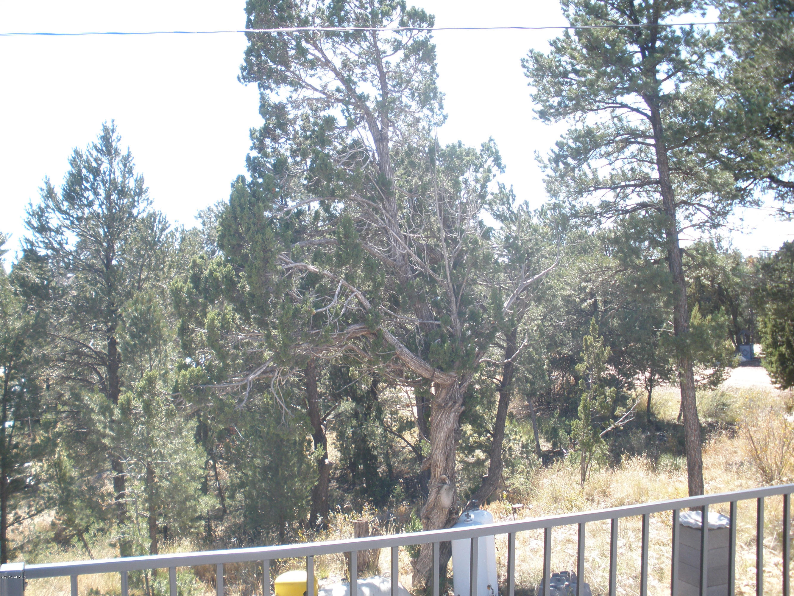 3451-3447 Top View Road Overgaard, AZ 85933 - Photo 17 of 34 Top View 040