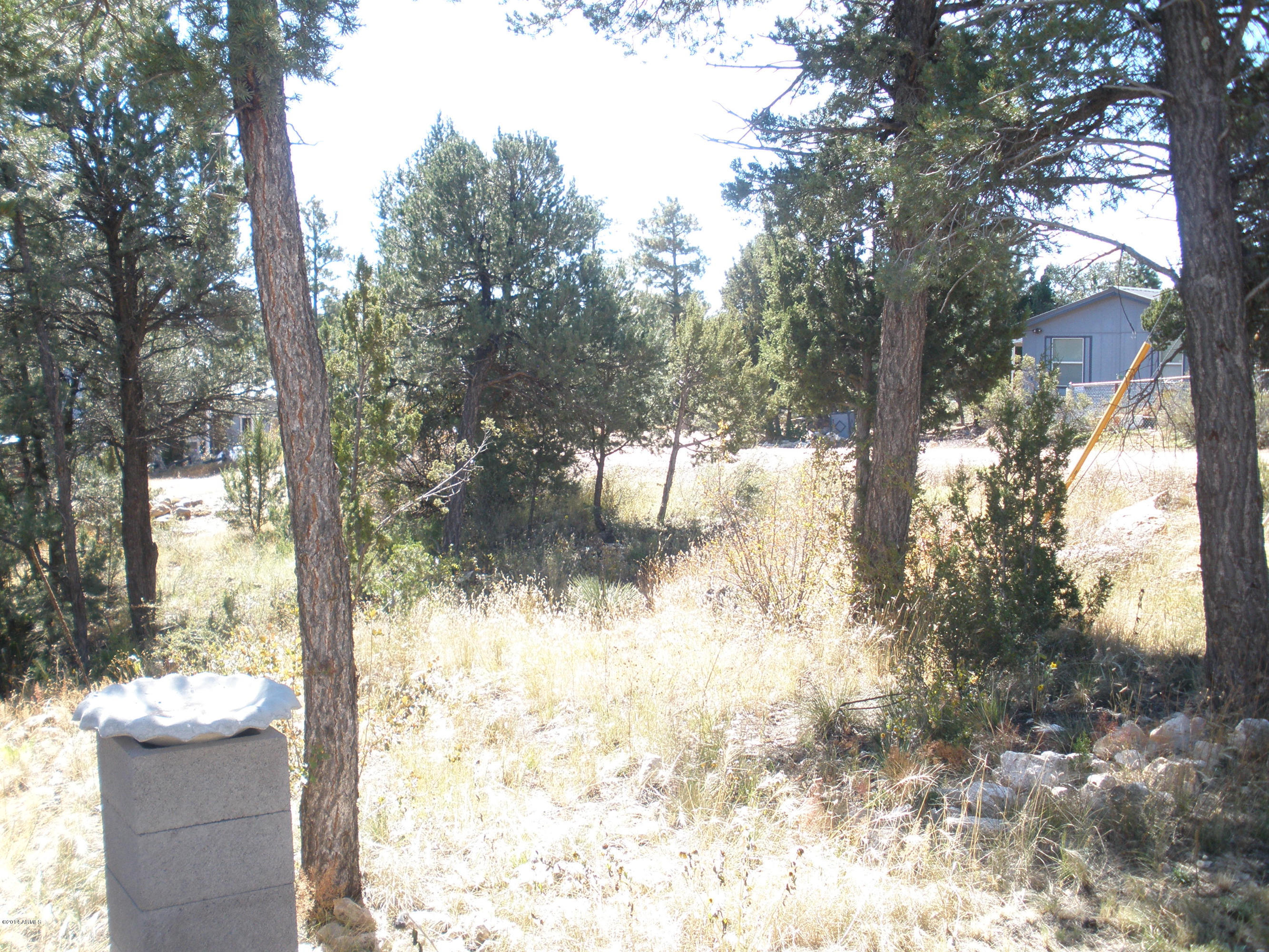 3451-3447 Top View Road Overgaard, AZ 85933 - Photo 30 of 34 Top View 053