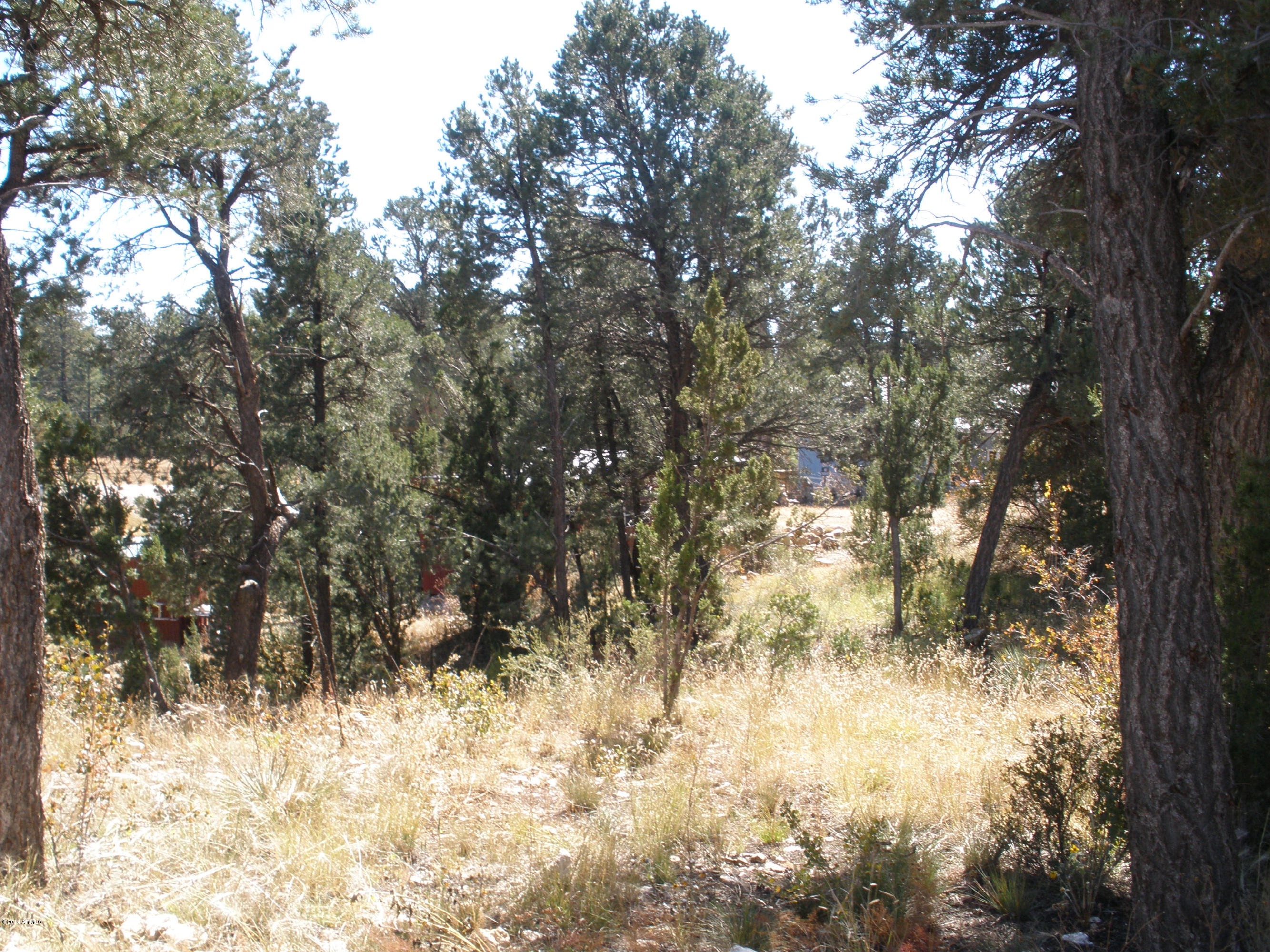 3451-3447 Top View Road Overgaard, AZ 85933 - Photo 31 of 34 Top View 054