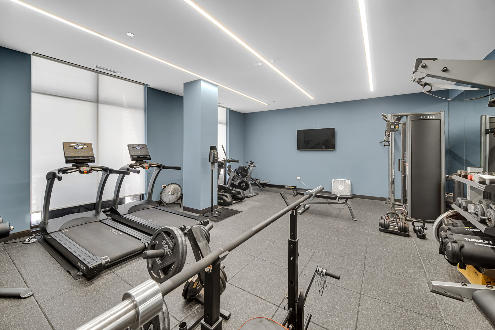 323 South Racine Avenue, Unit 5A Chicago, IL 60607 - Photo 25 of 26 a room with gym equipment and mirror