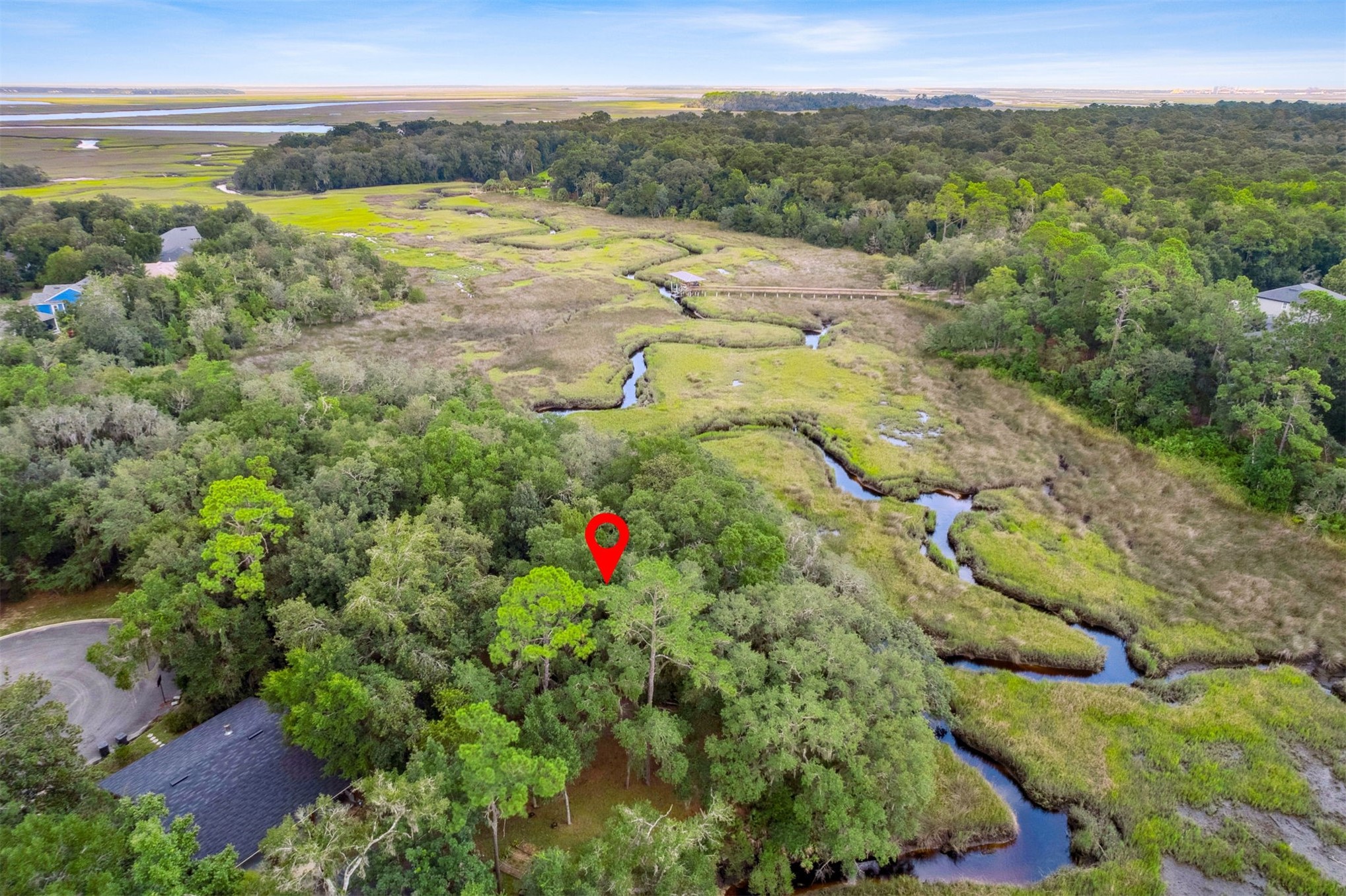 97398 Yorkshire Drive Yulee, FL 32097 - Photo 7 of 9 a view of a lake with a mountain