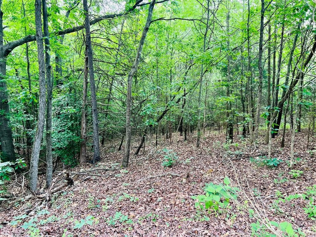 286 P Cromer Road Abbeville, SC 29620 - Photo 26 of 28 Gallery Image 26