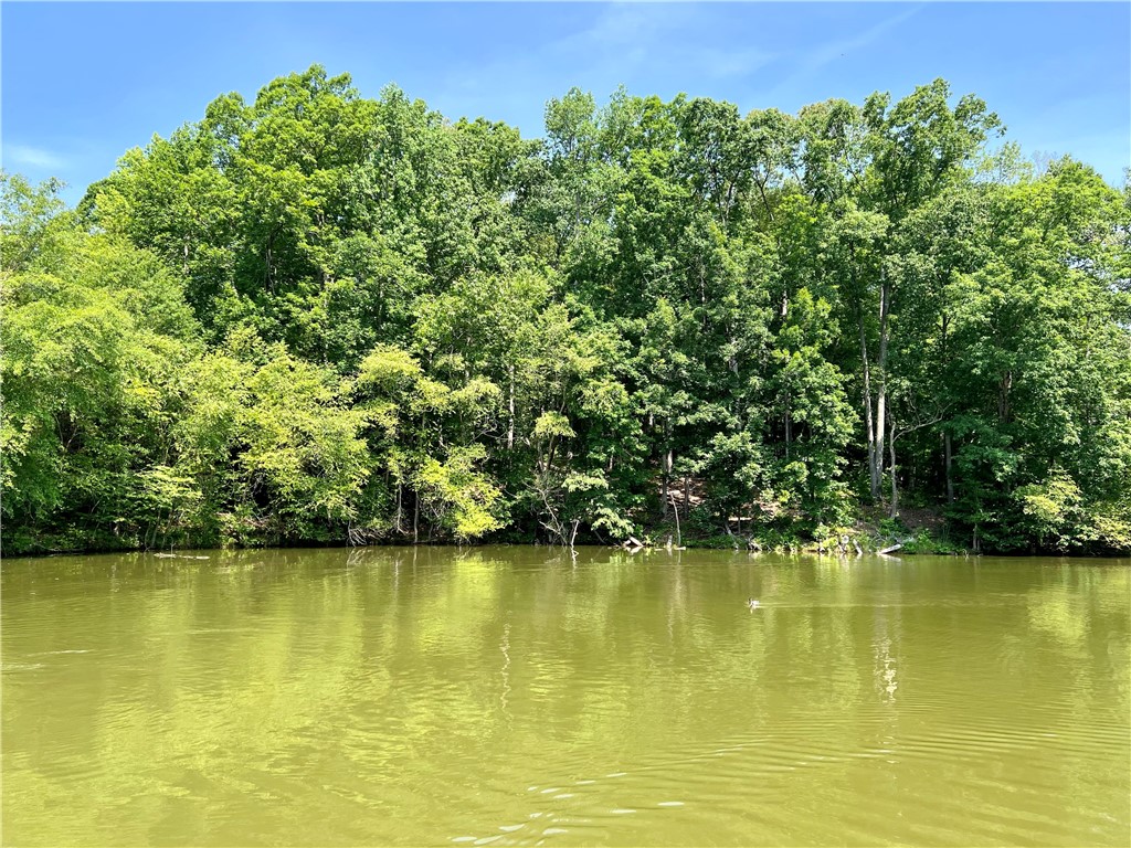 286 P Cromer Road Abbeville, SC 29620 - Photo 3 of 28 Gallery Image 3