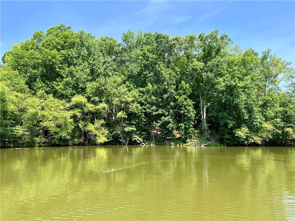 286 P Cromer Road Abbeville, SC 29620 - Photo 5 of 28 Gallery Image 5