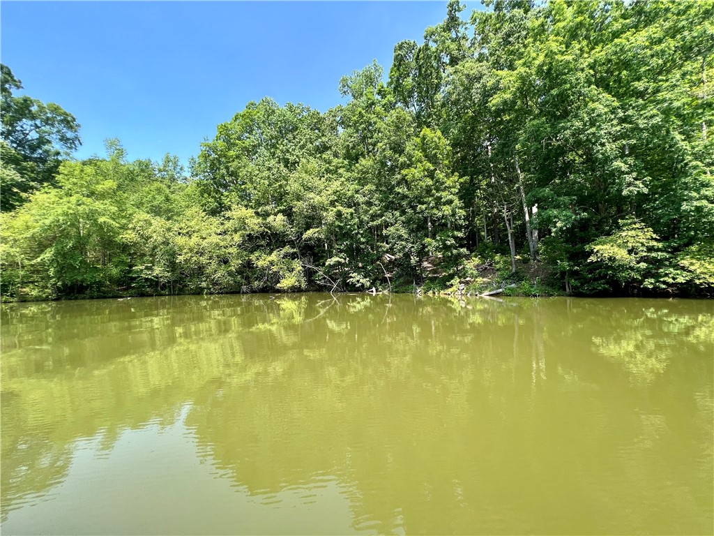 286 P Cromer Road Abbeville, SC 29620 - Photo 7 of 28 Gallery Image 7