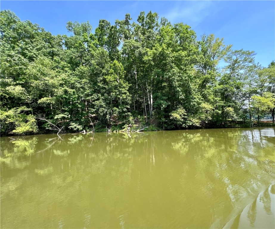 286 P Cromer Road Abbeville, SC 29620 - Photo 9 of 28 Gallery Image 9