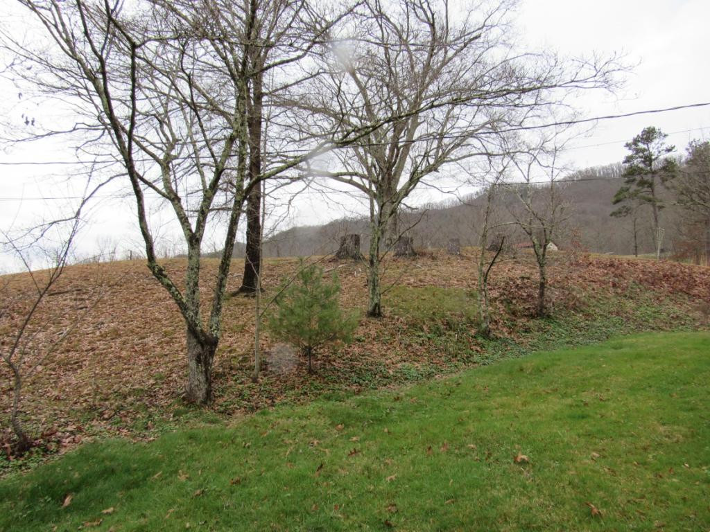 4222 Yuma Road Gate City, VA 24251 - Photo 16 of 19 Photo 16