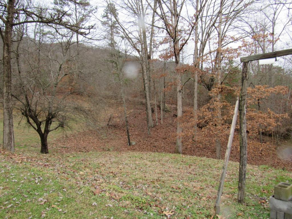 4222 Yuma Road Gate City, VA 24251 - Photo 4 of 19 Photo 4