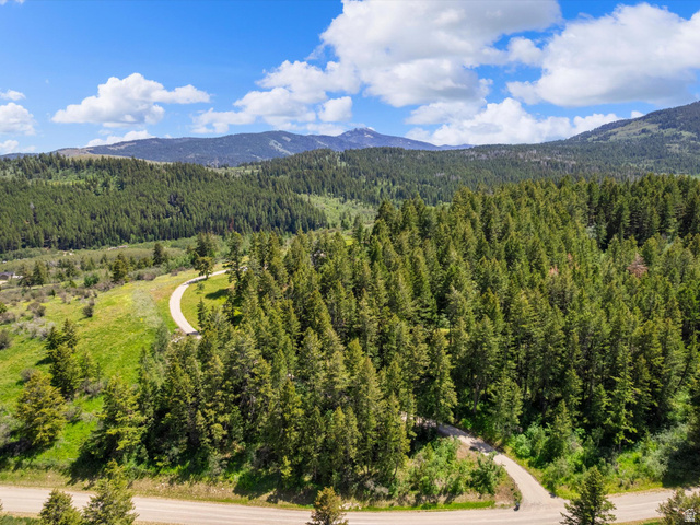 1225 Old Oregon Road Soda Springs, ID 83276 - Photo 61 of 67 Expansive forested landscape featuring dense evergreen trees and distant mountains under a blue sky with white clouds