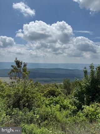1373 Jacks Mountain Road McVeytown, PA 17051 - Photo 9 of 11 a view of a yard and mountain view
