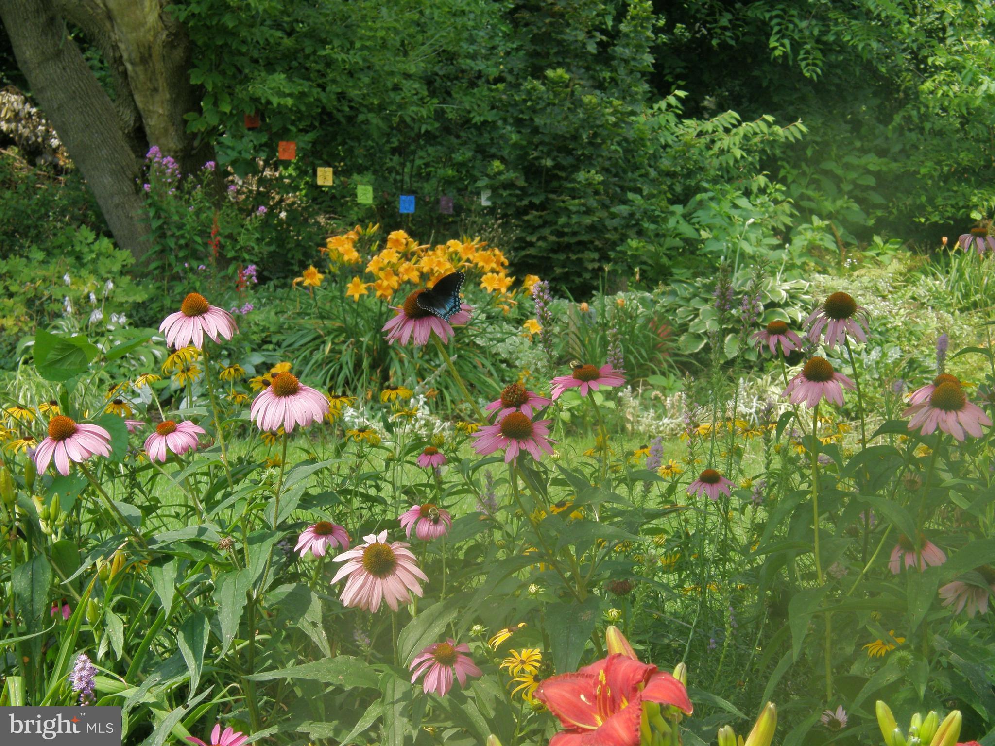 25 Orion Road Boiling Springs, PA 17007 - Photo 40 of 51 Gallery Image 40