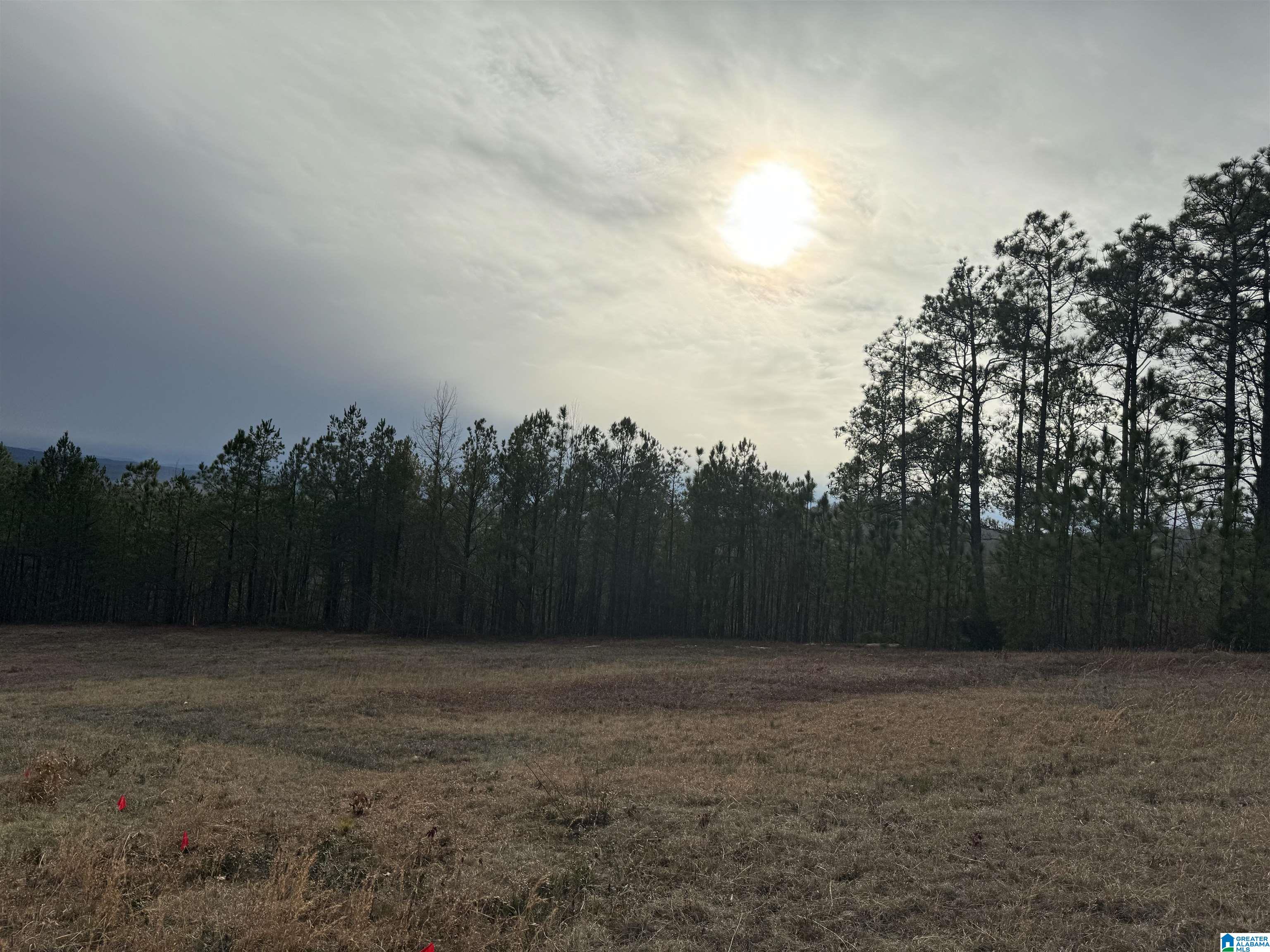 223 Mountain Ridge Road, Unit 65A AND 66A Oxford, AL 36203 - Photo 13 of 37 Gallery Image 13