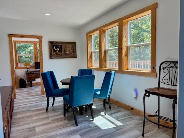 16444 Freedom Road Willow Springs, MO 65793 - Photo 16 of 51 20250819203928248331000000-o