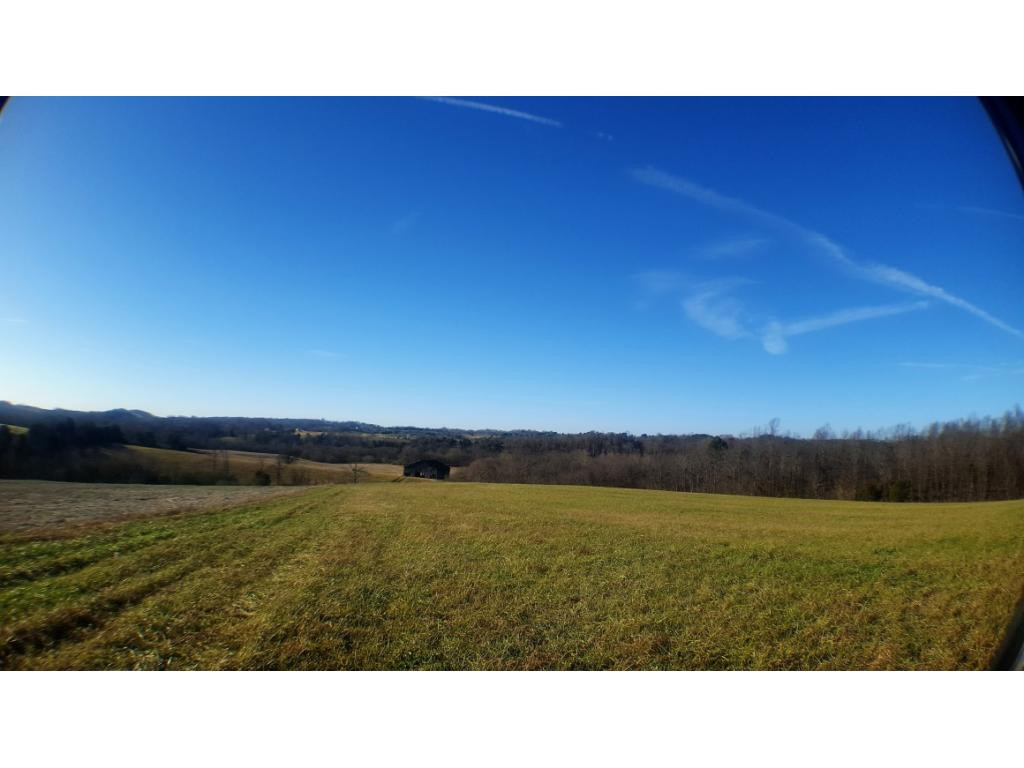 0 Foxford Road, Unit 111 Greeneville, TN 37743 - Photo 3 of 29 Photo 3