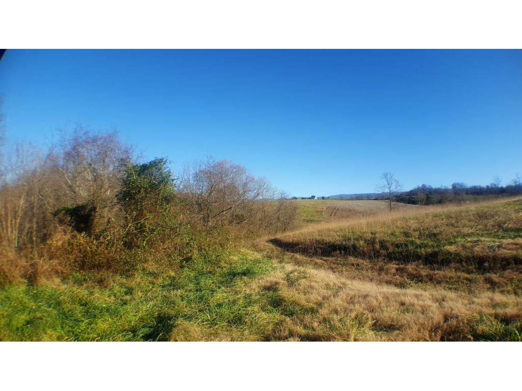 0 Foxford Road, Unit 111 Greeneville, TN 37743 - Photo 8 of 29 Photo 8