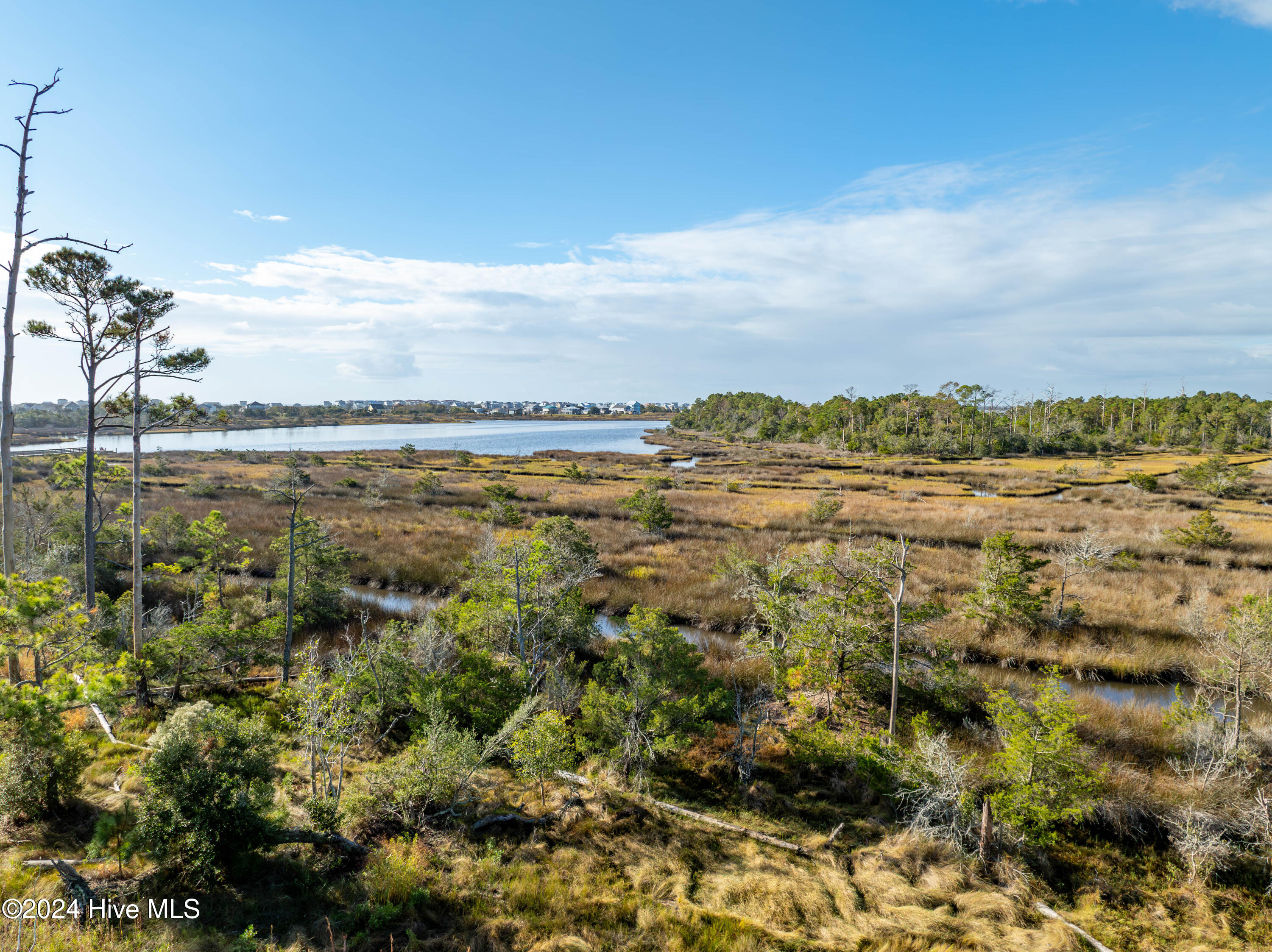343 Landon Lane Sneads Ferry, NC 28460 - Photo 11 of 29 343 Landon Lane - Aerials - Edited _9
