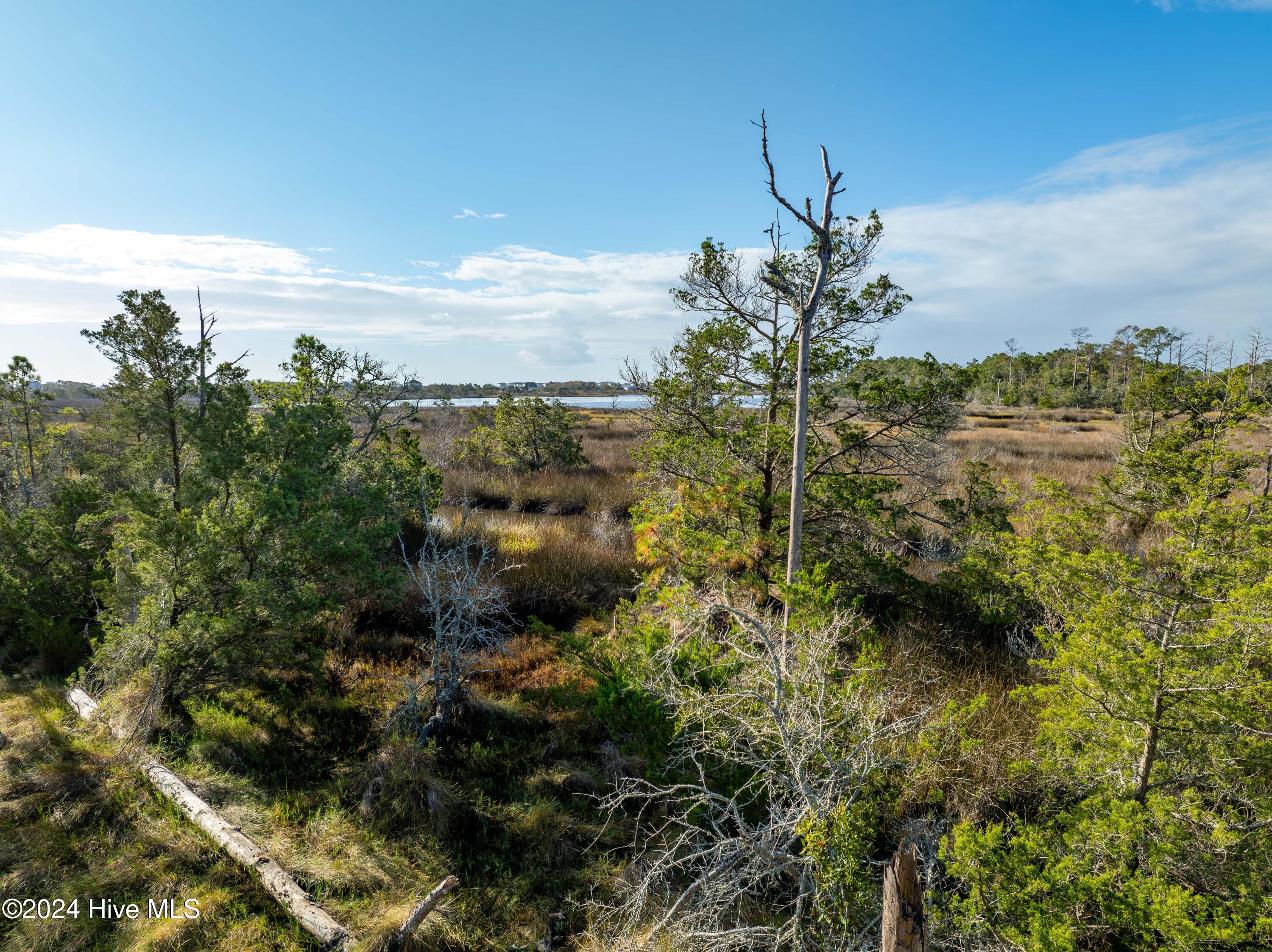 343 Landon Lane Sneads Ferry, NC 28460 - Photo 12 of 29 343 Landon Lane - Aerials - Edited _10
