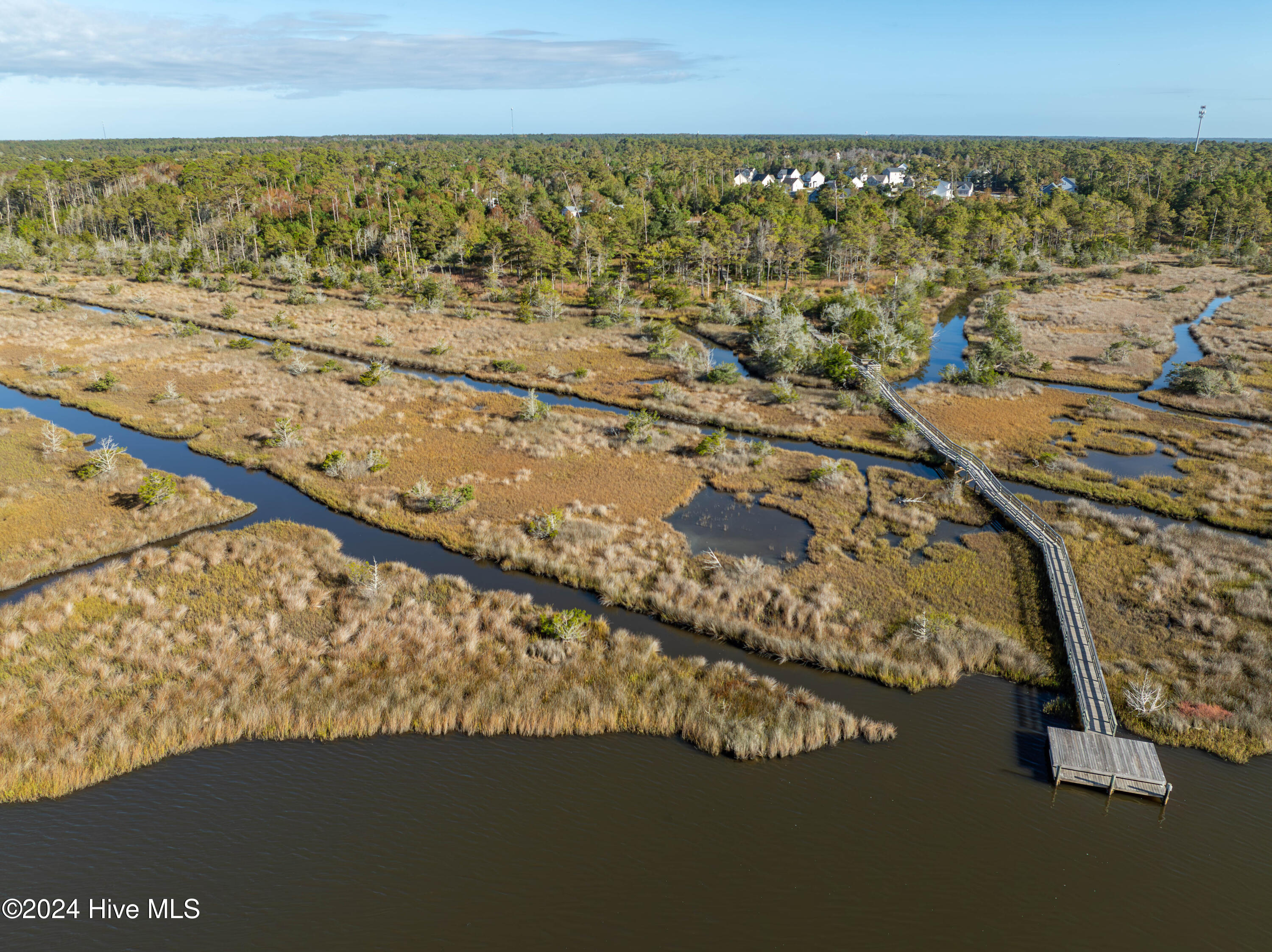 343 Landon Lane Sneads Ferry, NC 28460 - Photo 20 of 29 343 Landon Lane - Aerials - Edited _18