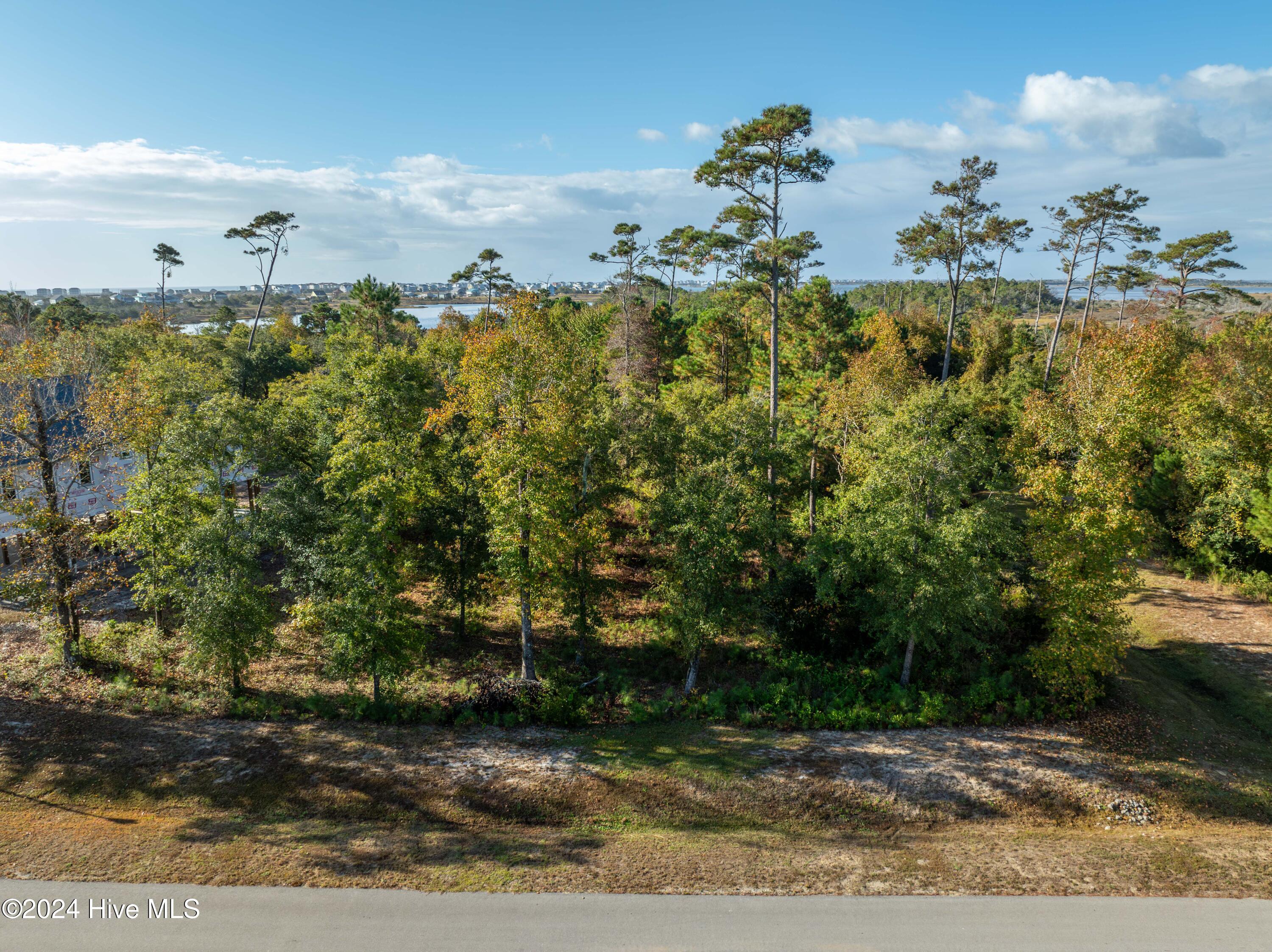 343 Landon Lane Sneads Ferry, NC 28460 - Photo 28 of 29 343 Landon Lane - Aerials - Edited _26