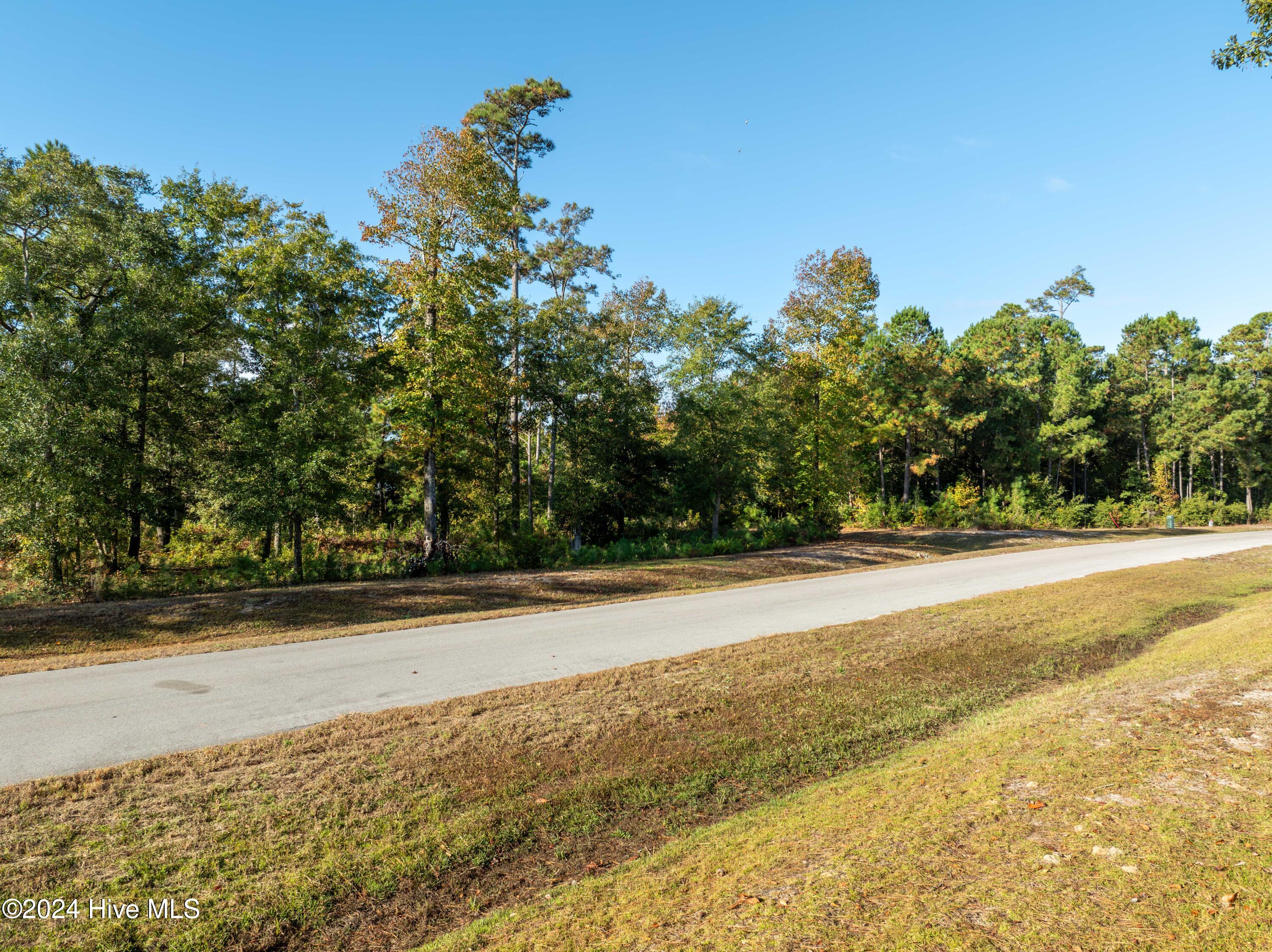 343 Landon Lane Sneads Ferry, NC 28460 - Photo 29 of 29 343 Landon Lane - Aerials - Edited _28