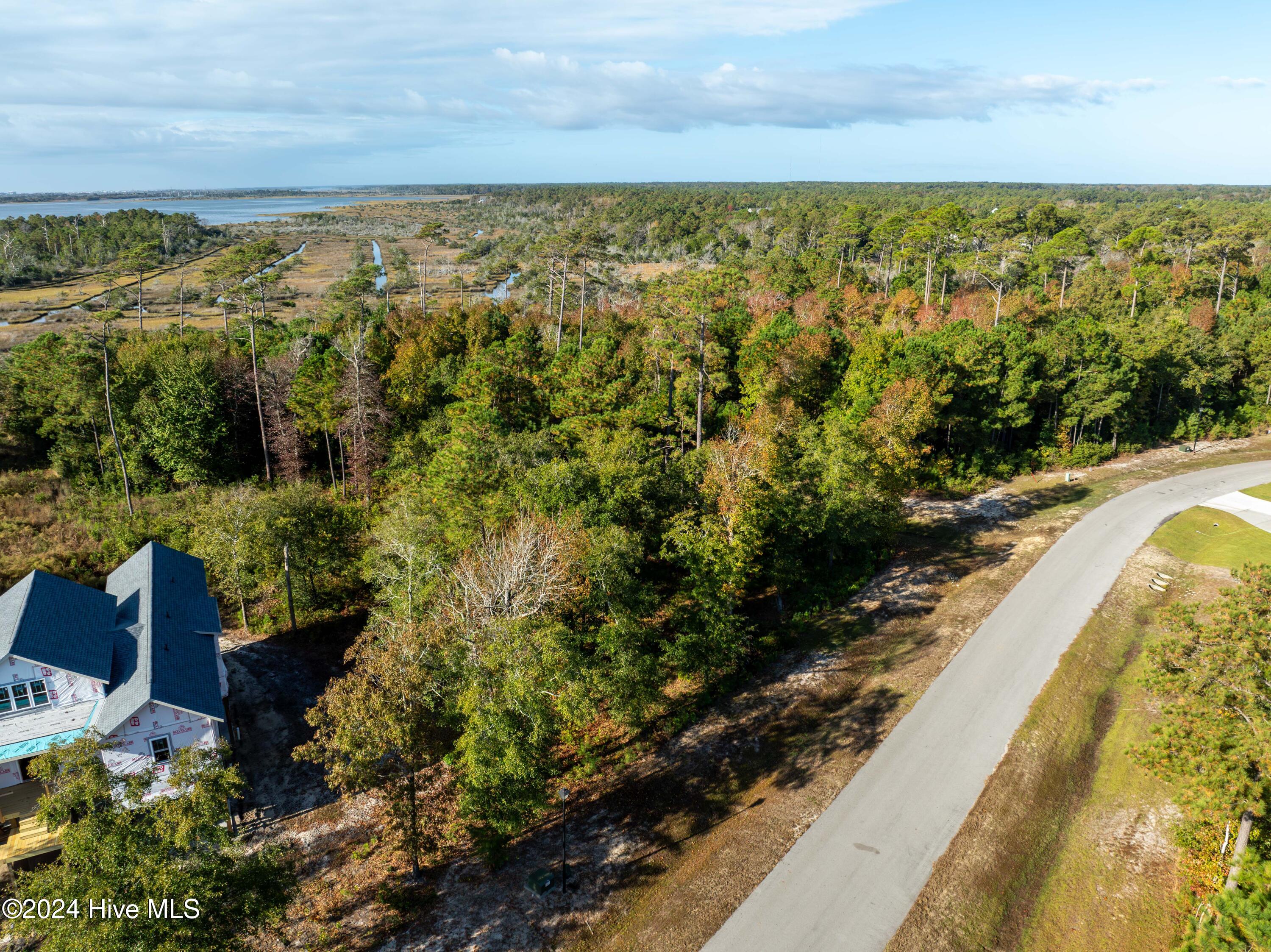 343 Landon Lane Sneads Ferry, NC 28460 - Photo 6 of 29 343 Landon Lane - Aerials - Edited _4