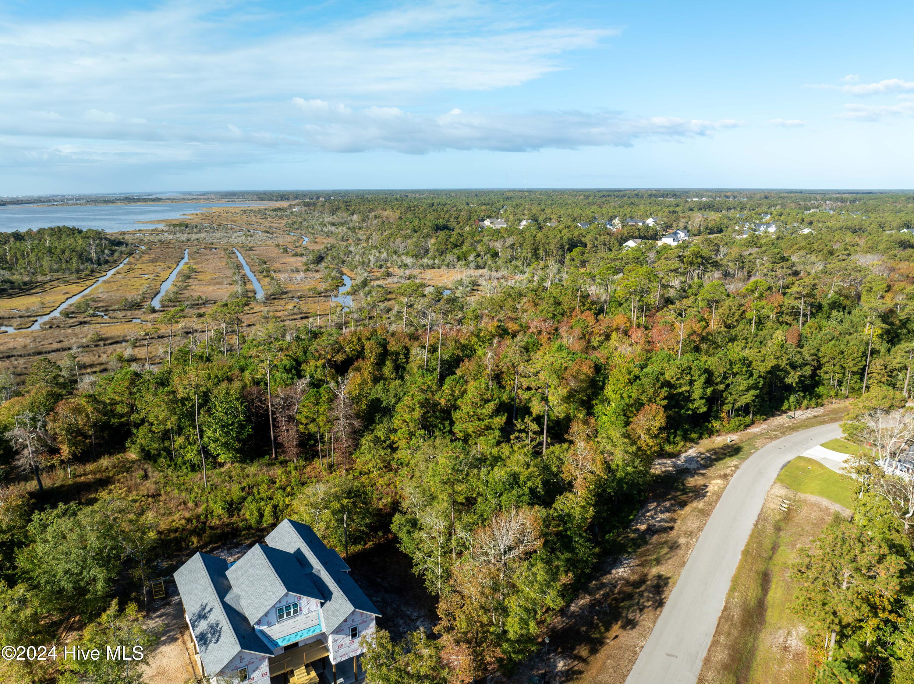 343 Landon Lane Sneads Ferry, NC 28460 - Photo 7 of 29 343 Landon Lane - Aerials - Edited _5