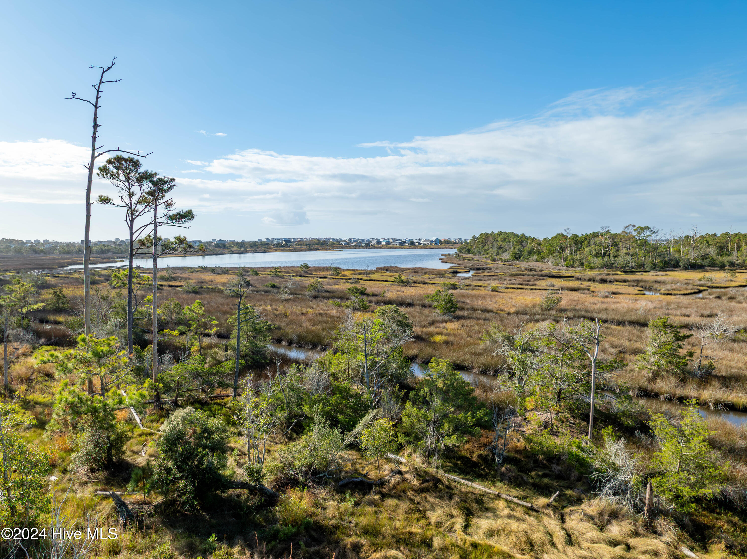 343 Landon Lane Sneads Ferry, NC 28460 - Photo 9 of 29 343 Landon Lane - Aerials - Edited _7