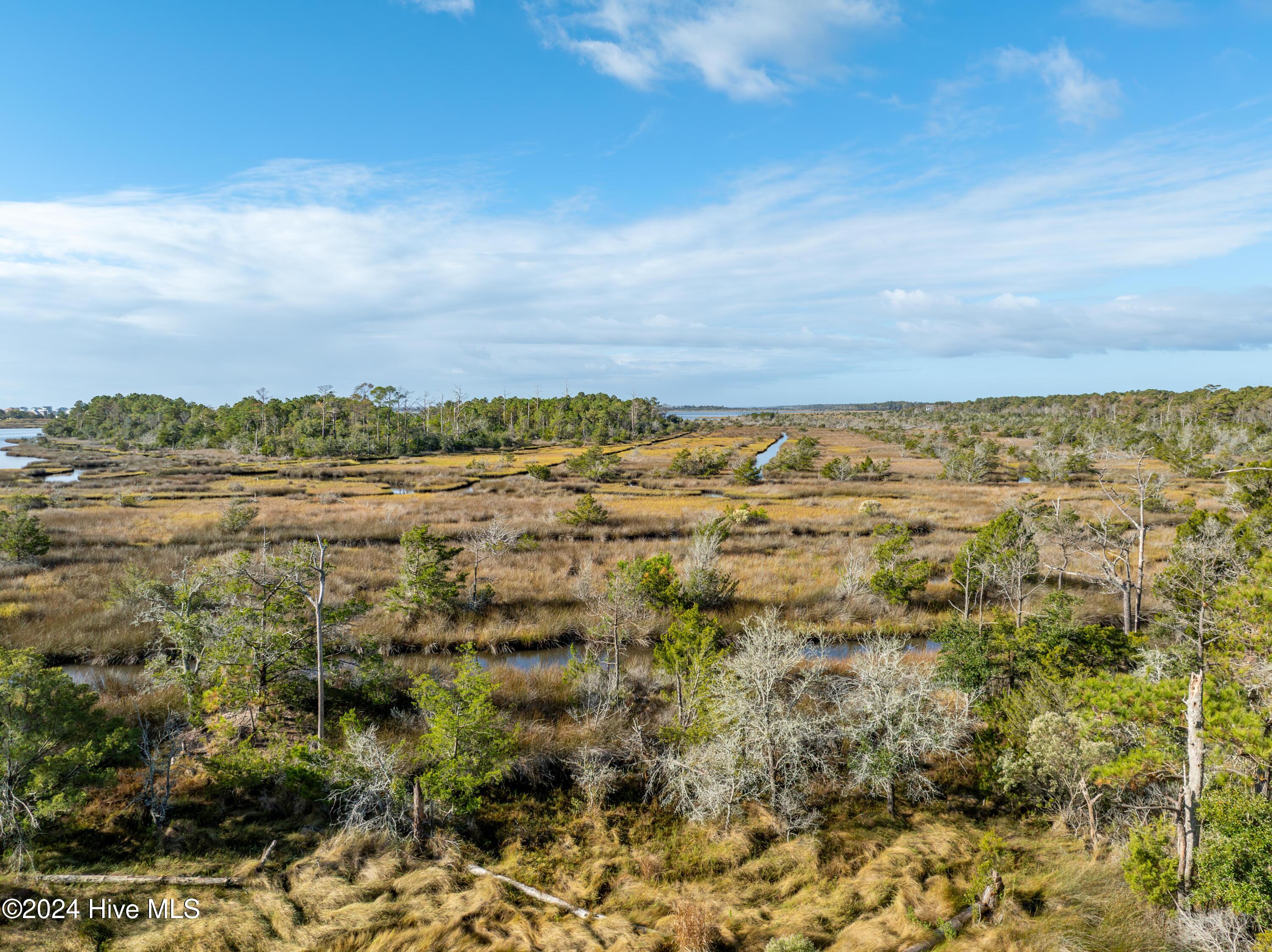 343 Landon Lane Sneads Ferry, NC 28460 - Photo 10 of 29 343 Landon Lane - Aerials - Edited _8