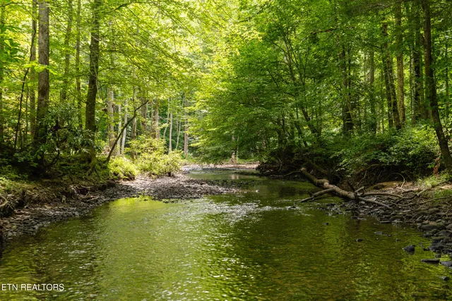 $65,000 | 1.92-ac Steel Tram Ridge Road, Crawford, TN 38554