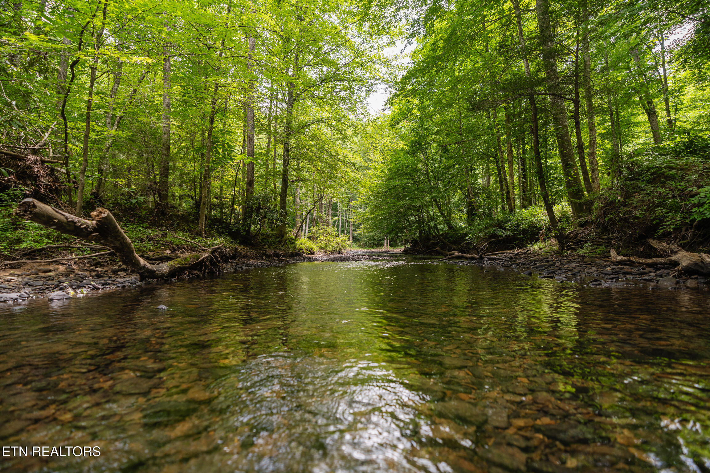 1.92-ac Steel Tram Ridge Road Crawford, TN 38554 - Photo 3 of 18 mls-A7408926