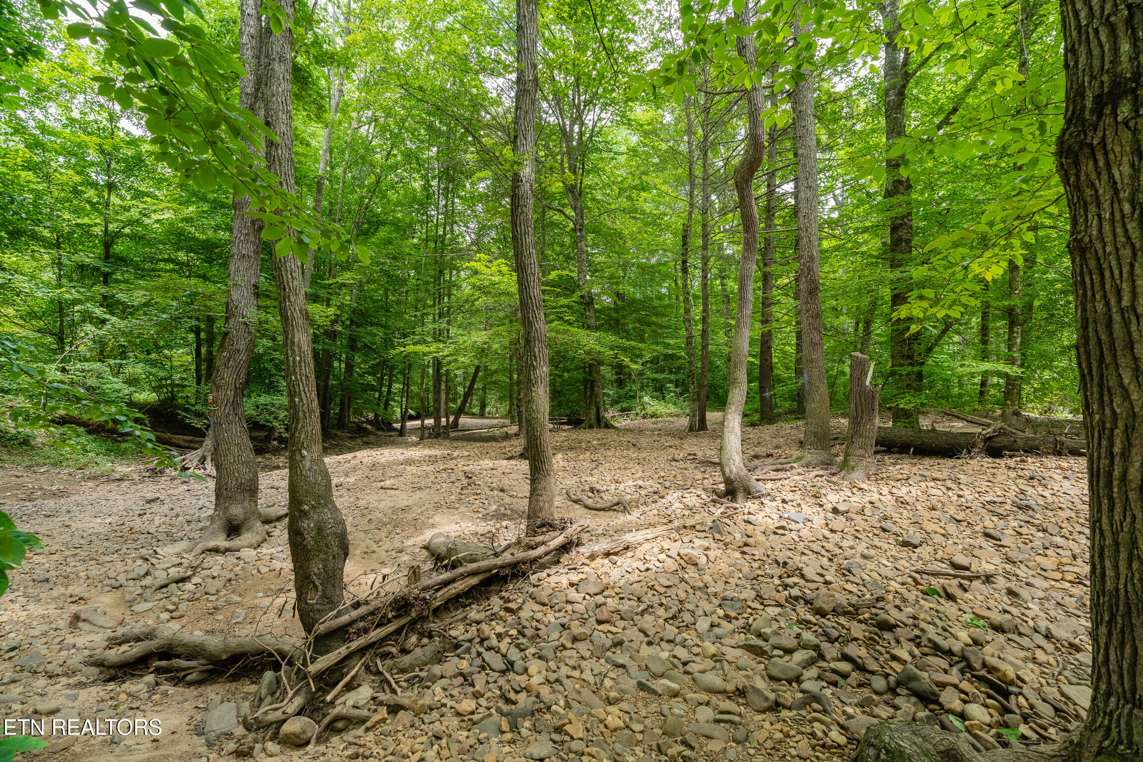 1.92-ac Steel Tram Ridge Road Crawford, TN 38554 - Photo 8 of 18 mls-A7408931