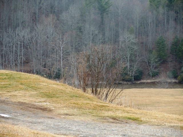 Lot 31 Olive Ridge Crumpler, NC 28617 - Photo 1 of 10 Gallery Image 1