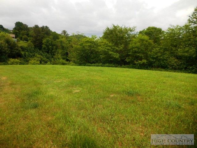 Lot 31 Olive Ridge Crumpler, NC 28617 - Photo 2 of 10 Gallery Image 2