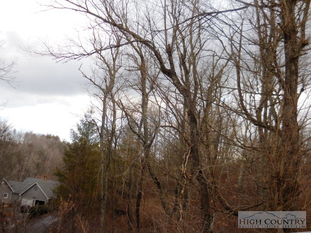 Lot 31 Olive Ridge Crumpler, NC 28617 - Photo 4 of 10 Gallery Image 4