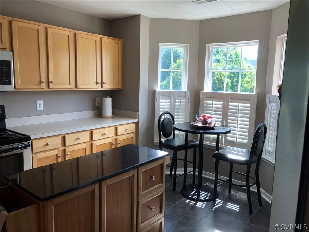 537 Ridgemoor Place Midlothian, VA 23114 - Photo 10 of 17 Gallery Image 10