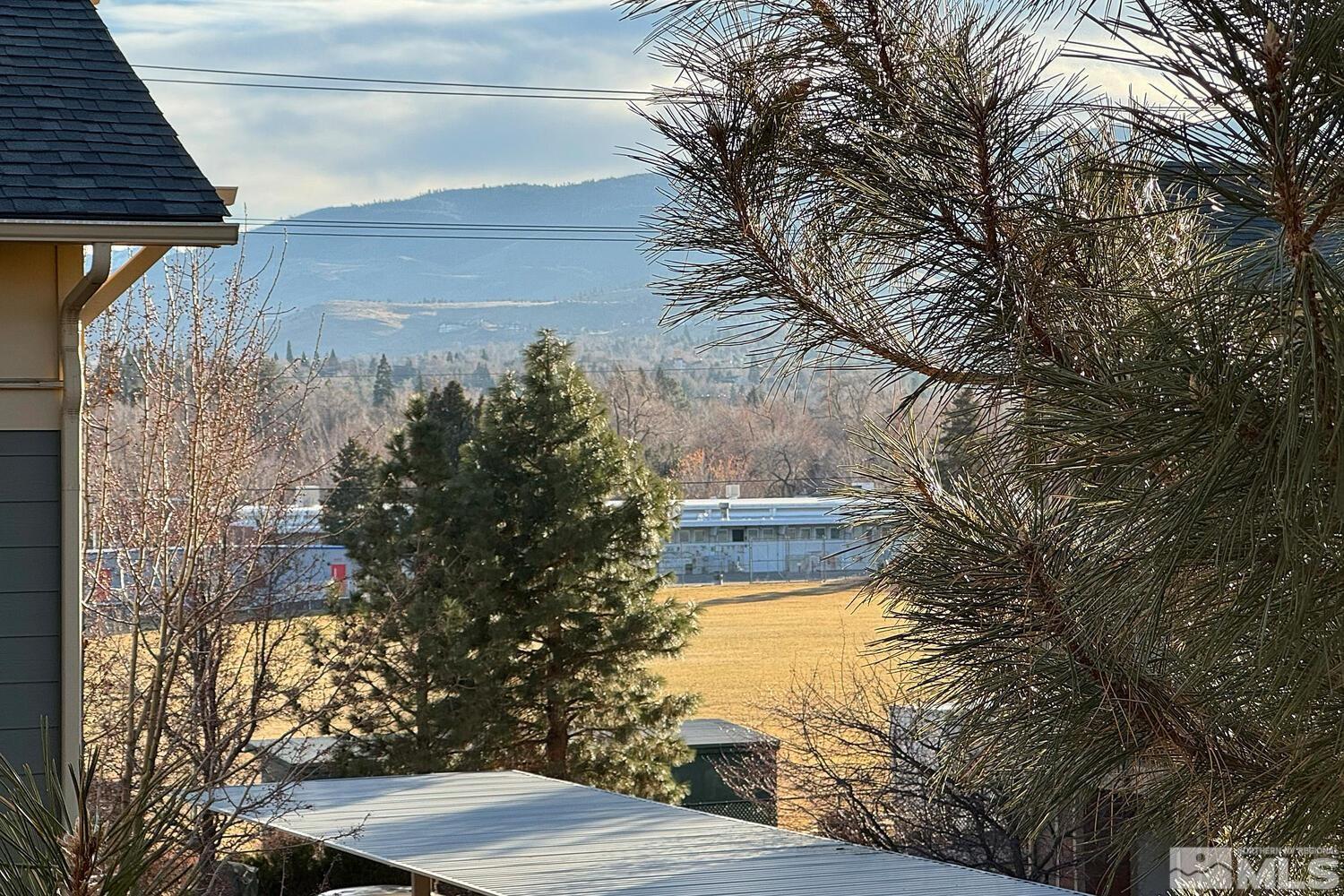 1450 Idlewild Drive, Unit 1133 Reno, NV 89509 - Photo 32 of 32 Photo 33