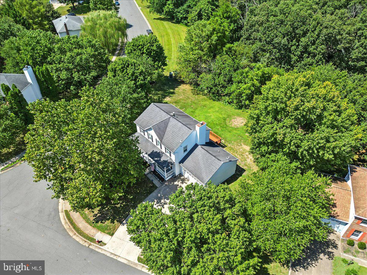 1929 East Beech Road Sterling, VA 20164 - Photo 3 of 56 Treed Corner lot