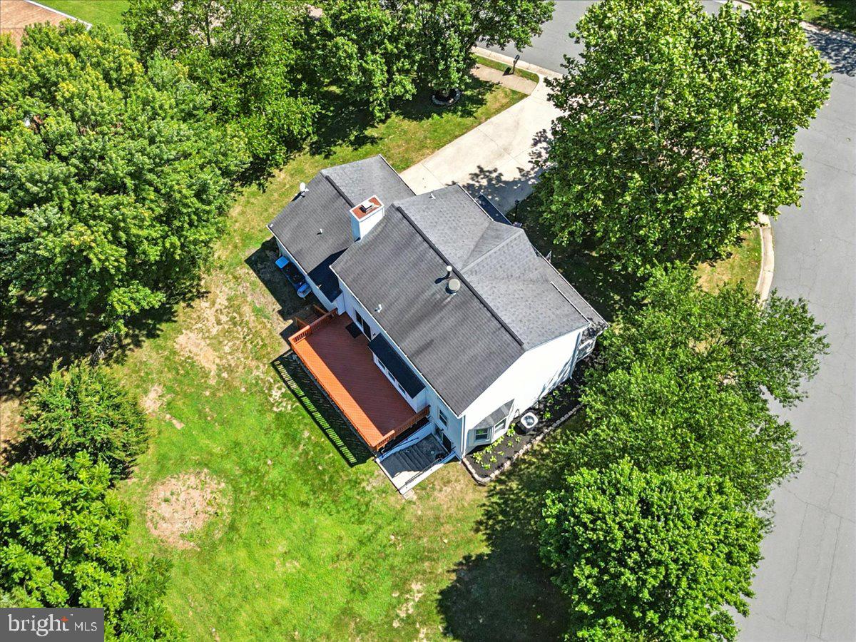 1929 East Beech Road Sterling, VA 20164 - Photo 54 of 56 Enveloped by mature trees